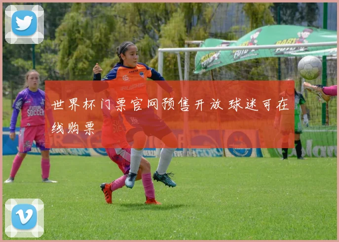 世界杯门票官网预售开放 球迷可在线购票