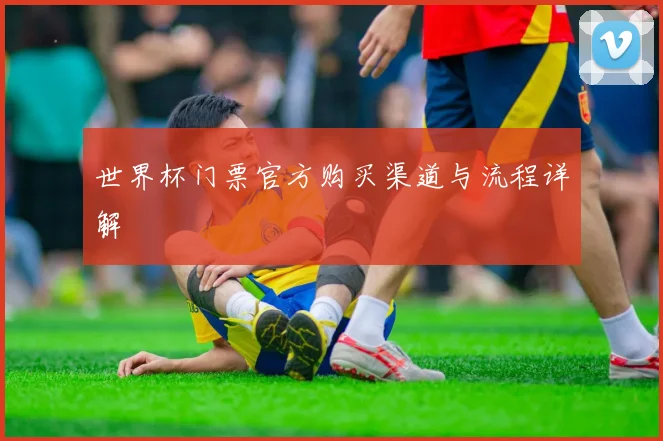 世界杯门票官方购买渠道与流程详解