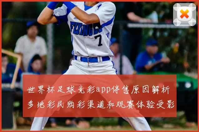 世界杯足球竞彩app停售原因解析 多地彩民购彩渠道和观赛体验受影响