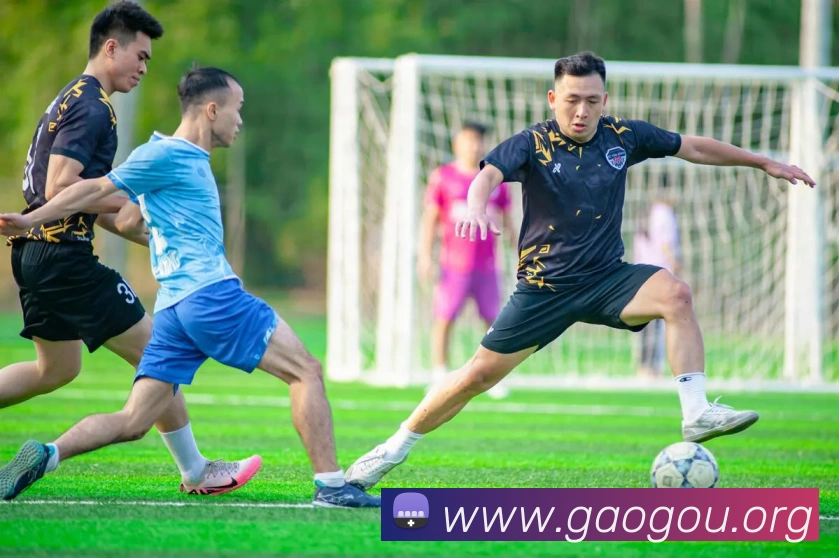 乐鱼体育官网登陆入口服务体系